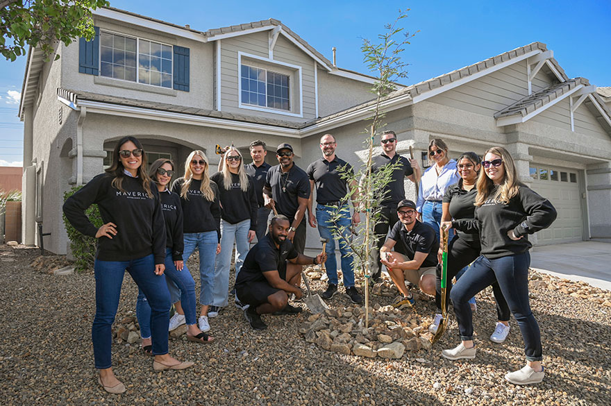 TreeLC expands to Dallas-Ft. Worth and Las Vegas