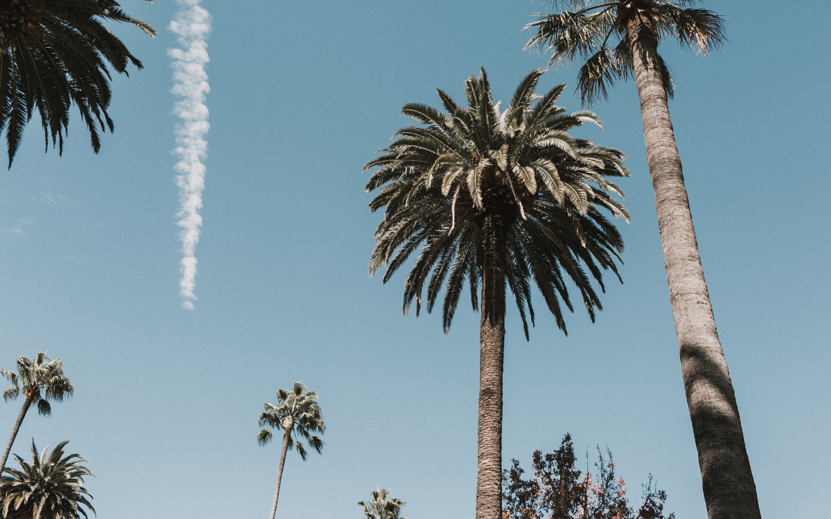 Moving Out of California? How to Sell Your Home Fast Before You Go