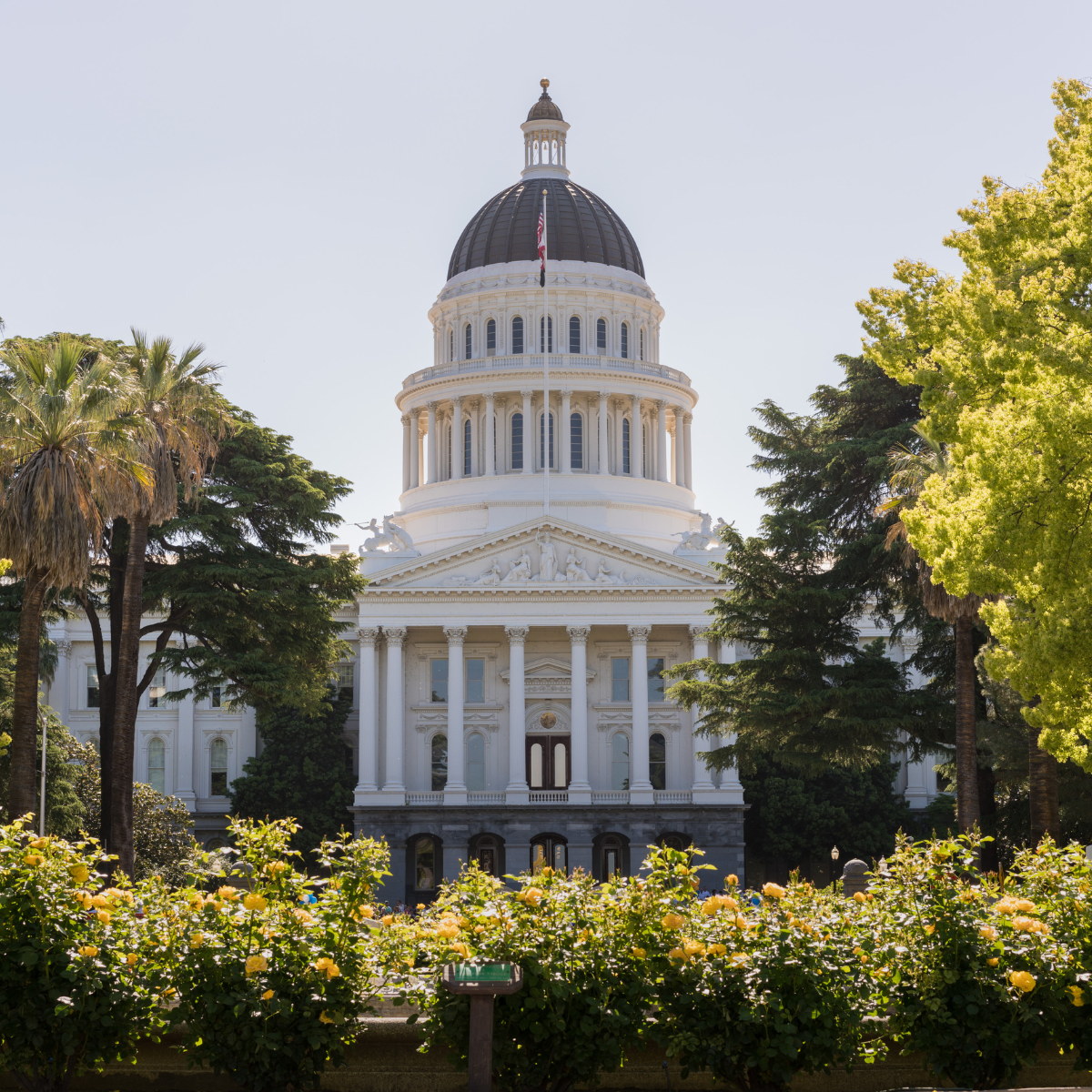 How Long Does Probate Take in California? The Real Timeline for Sacramento and the Central Valley