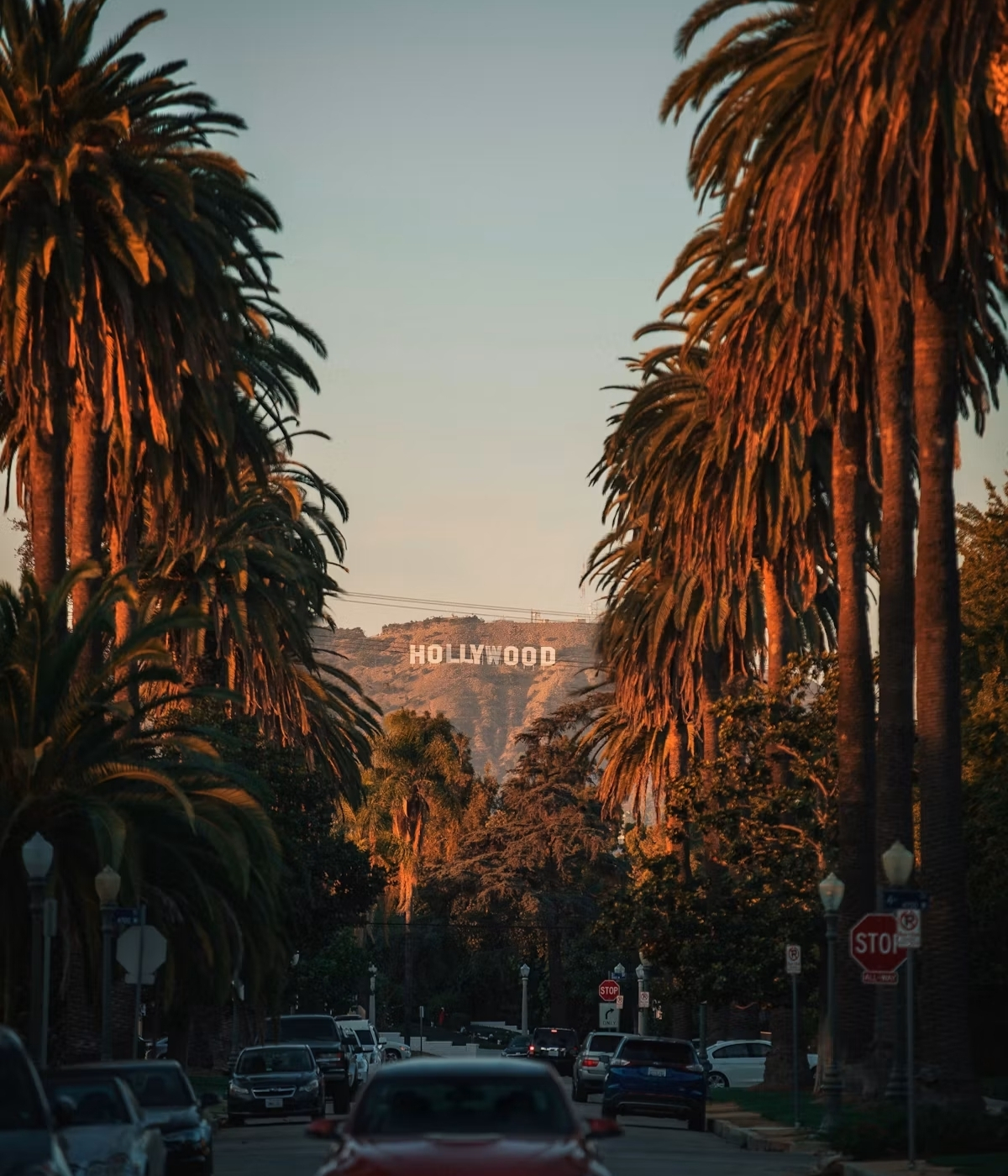 Palm-lined Los Angeles street at sunset with the Hollywood sign in the distance — how to choose a cash home buyer in LA